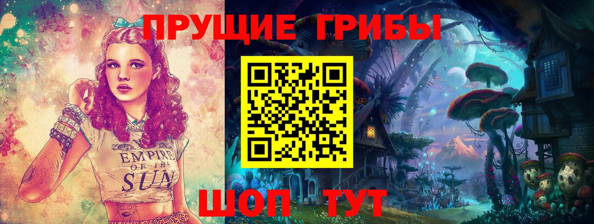 Галлюциногенные грибы Cubensis Всеволожск