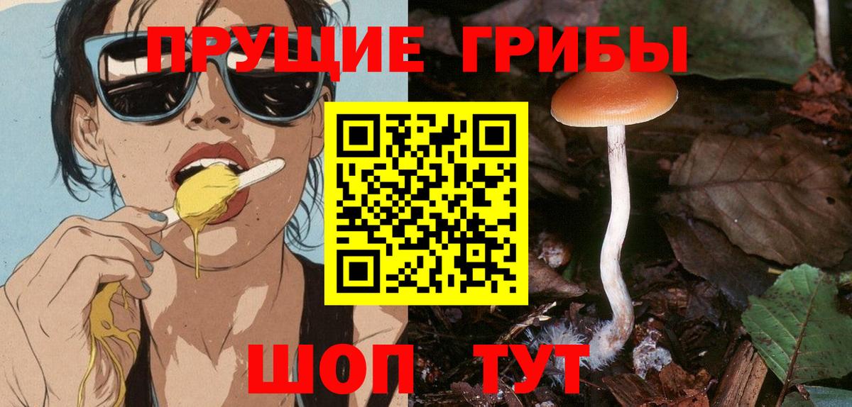 Псилоцибиновые грибы Cubensis  Псилоцибиновые грибы MAGIC MUSHROOMS  Вход с VPN  Всеволожск 