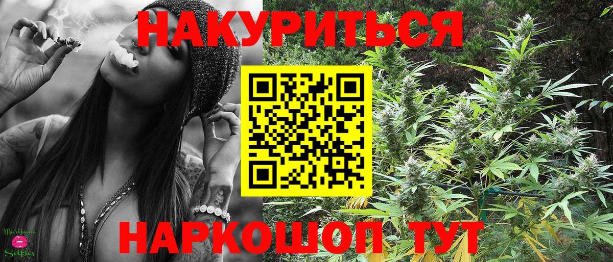 Шишки марихуана конопля  Вход с VPN  Марихуана Bruce Banner  Всеволожск  Конопля индика 